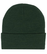 RX290 Pro RTX Pro Beanie