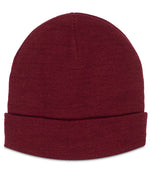 RX290 Pro RTX Pro Beanie