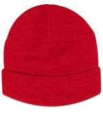 RX290 Pro RTX Pro Beanie