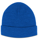 RX290 Pro RTX Pro Beanie